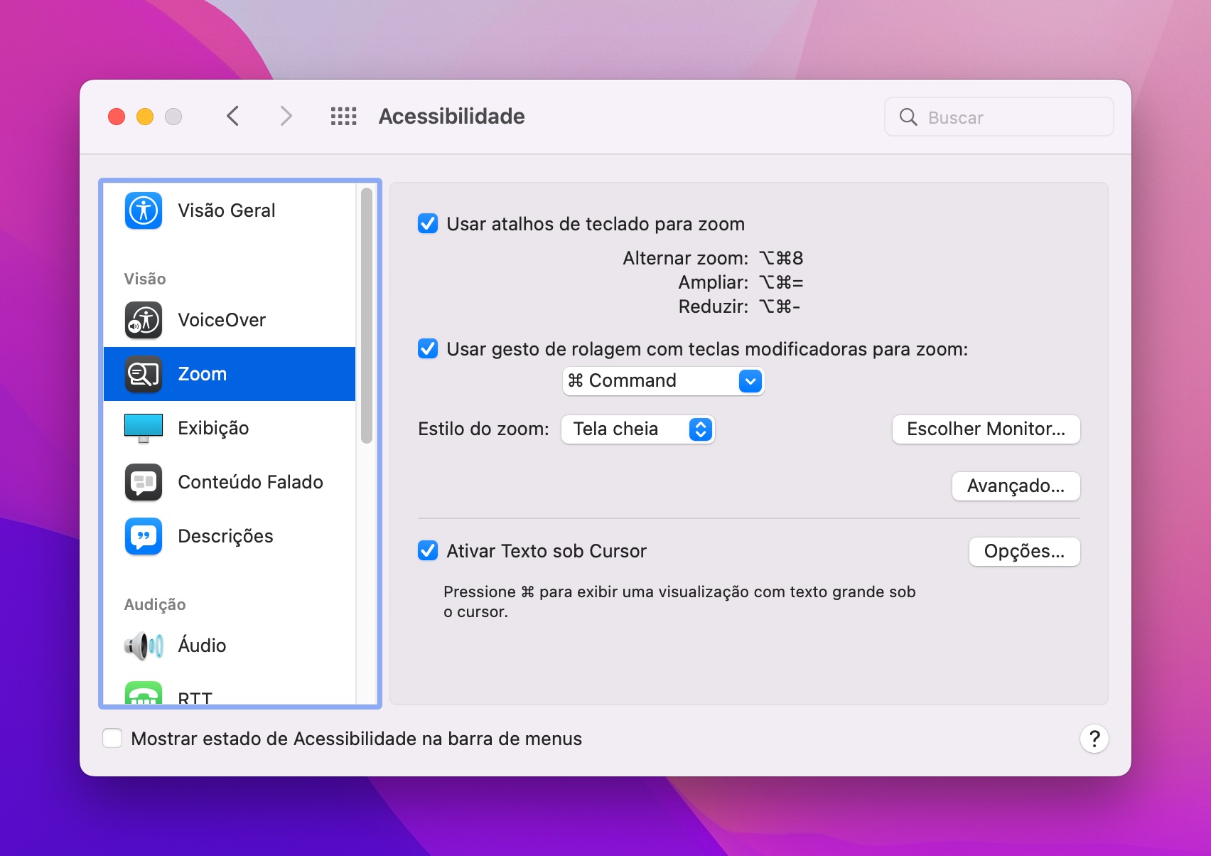 Janela de configuração de Acessibilidade do macOS. A aba Zoom está aberta, expondo toda a lista de configurações relacionadas.